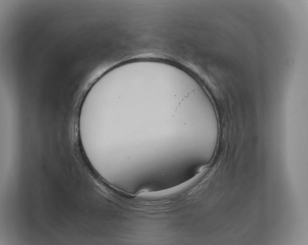 X0000111951367200908171309