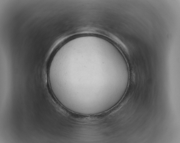 X0000111951368200908171309