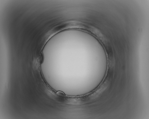 X0000111951369200908171309