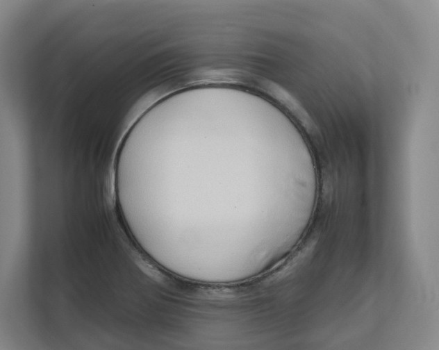 X0000111951370200908171309