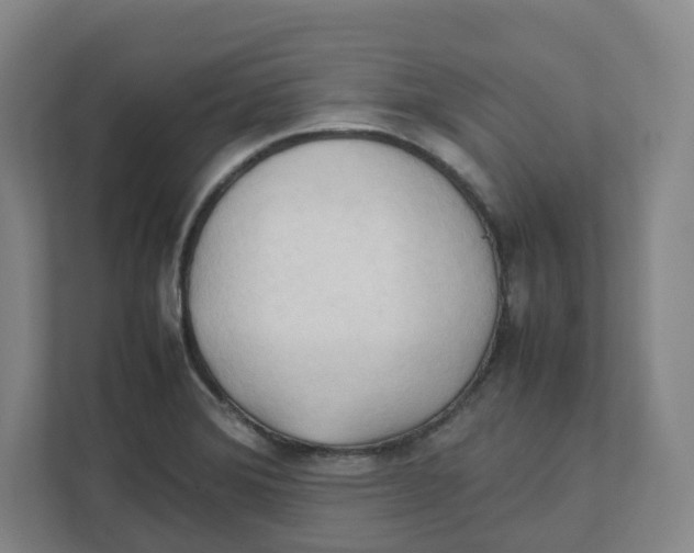 X0000111951372200908171309