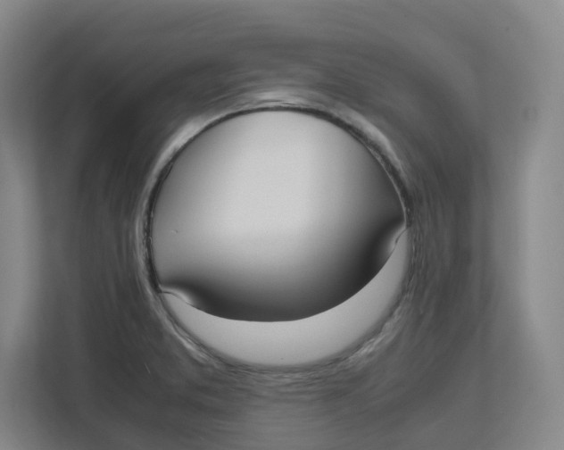 X0000111951373200908171309