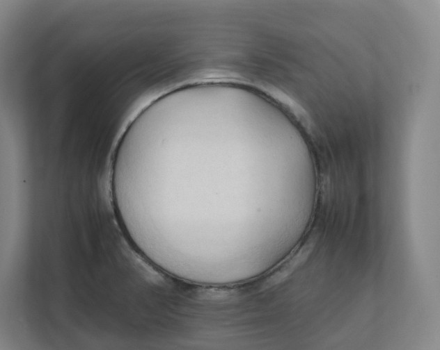 X0000111951374200908171309