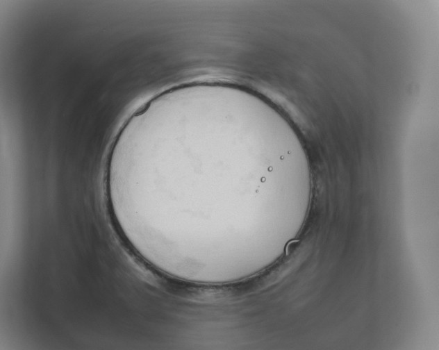 X0000111951375200908171309