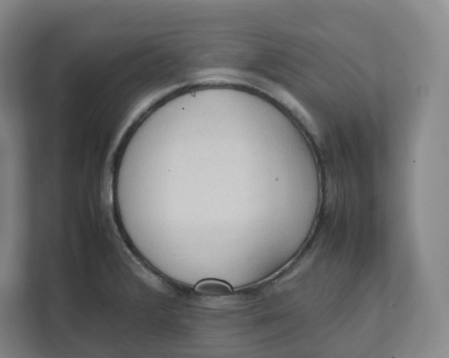 X0000111951376200908171309