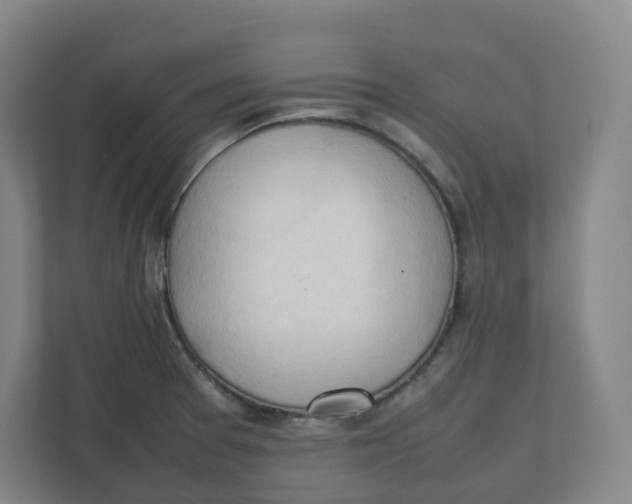 X0000111951377200908171309