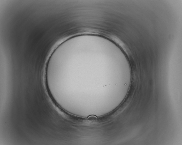 X0000111951379200908171309