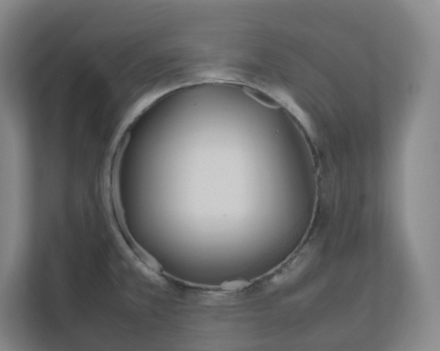 X0000111951381200908171309