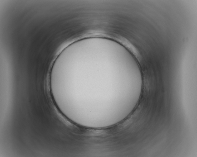 X0000111951382200908171309