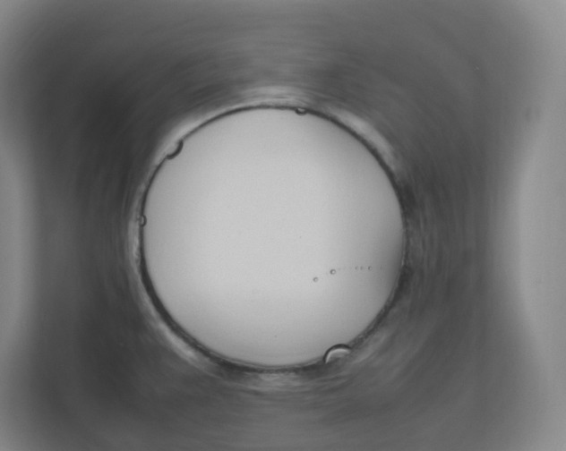 X0000111951383200908171309