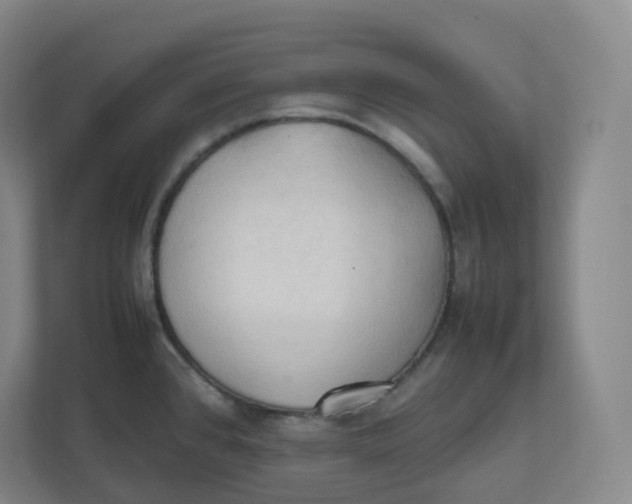 X0000111951384200908171309