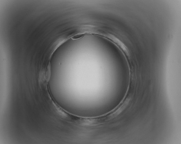 X0000111951385200908171309