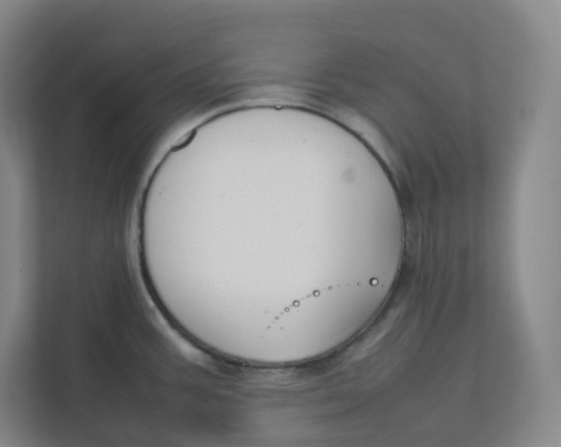 X0000111951387200908171309