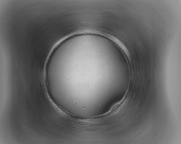 X0000111951388200908171309