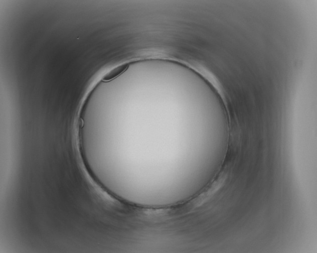 X0000111951389200908171309