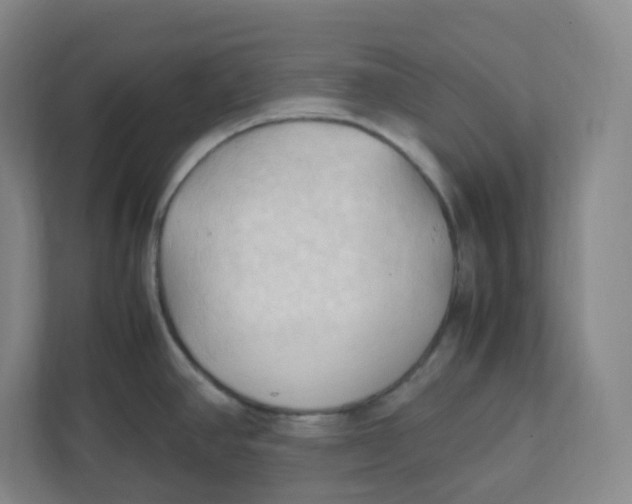 X0000111951390200908171309