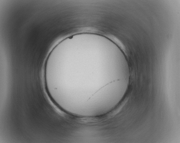 X0000111951391200908171309