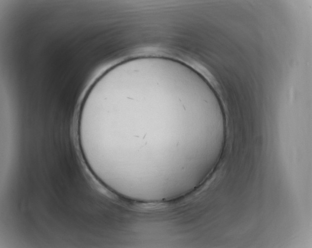 X0000111951392200908171309