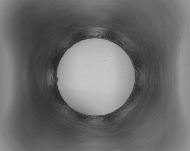 X0000111951394200908171308