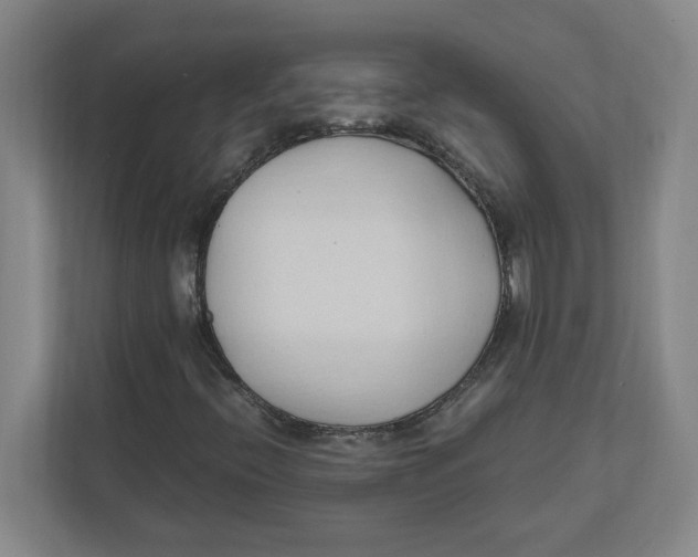 X0000111951396200908171308