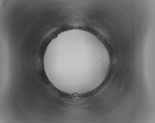 X0000111951398200908171308