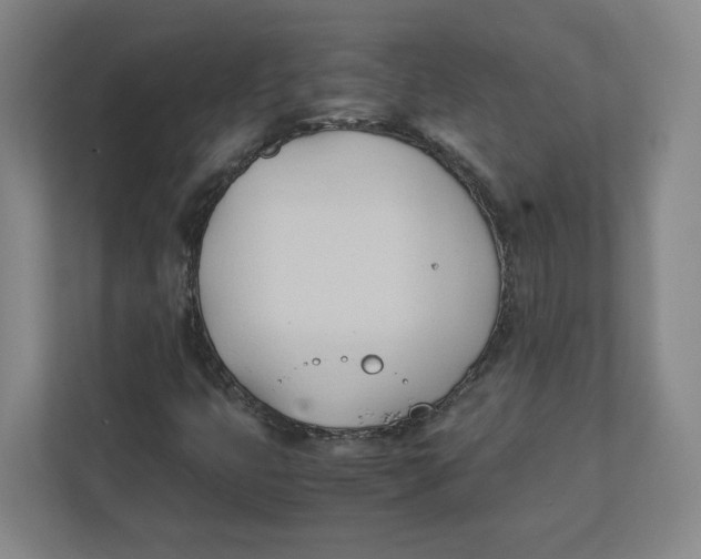 X0000111951399200908171308