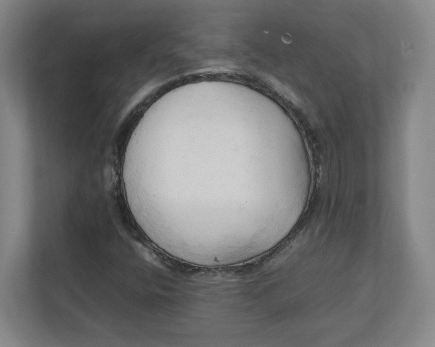 X0000111951400200908171308