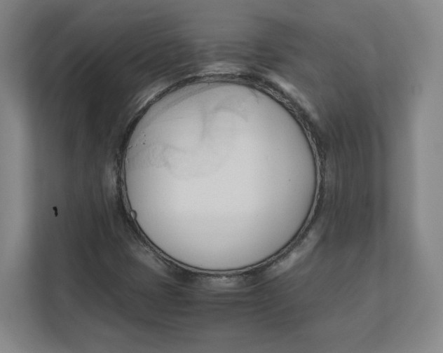 X0000111951401200908171308