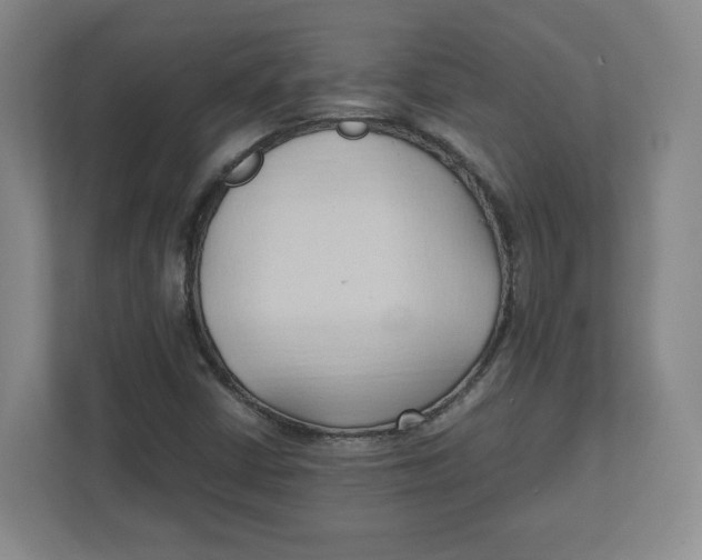 X0000111951402200908171308