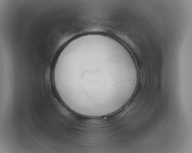 X0000111951404200908171308