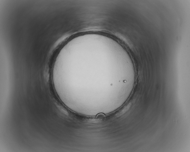 X0000111951406200908171308