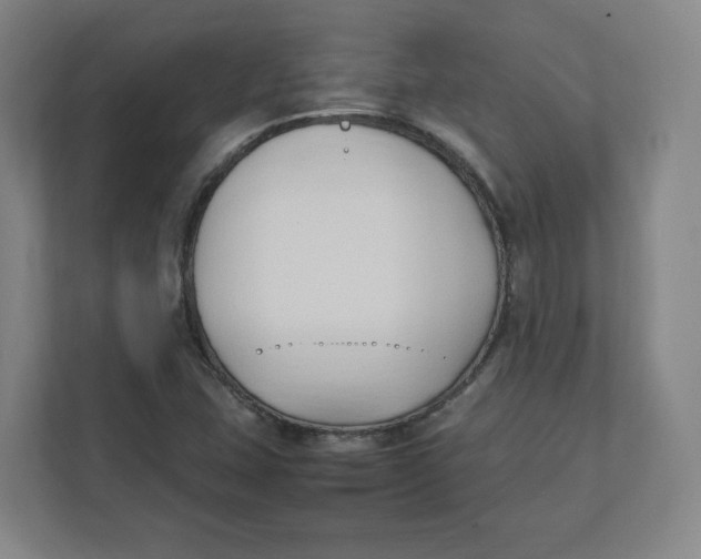 X0000111951407200908171308