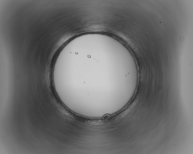 X0000111951410200908171308