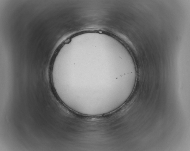 X0000111951412200908171308