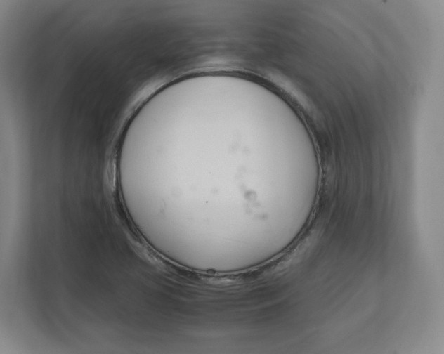 X0000111951413200908171308