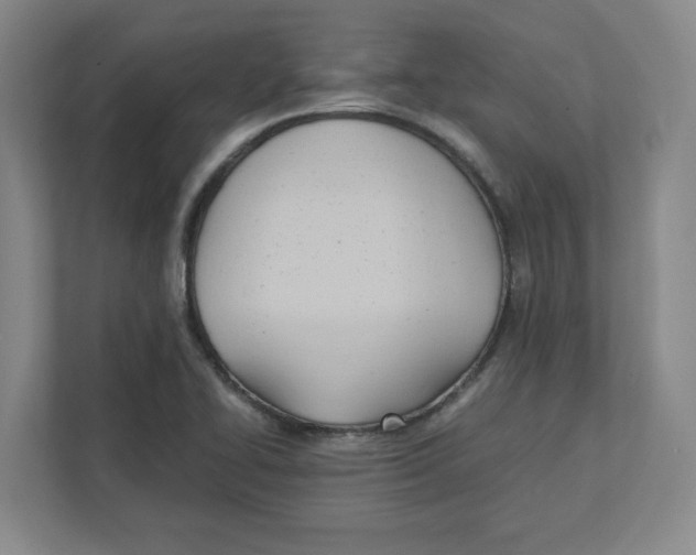 X0000111951414200908171308