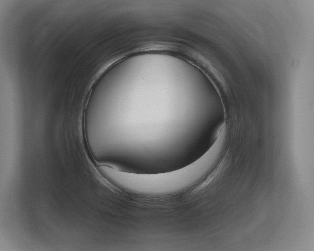 X0000111951417200908171308