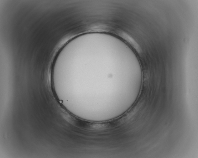 X0000111951419200908171308