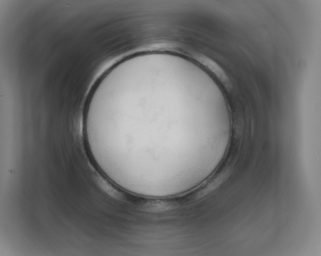 X0000111951420200908171308