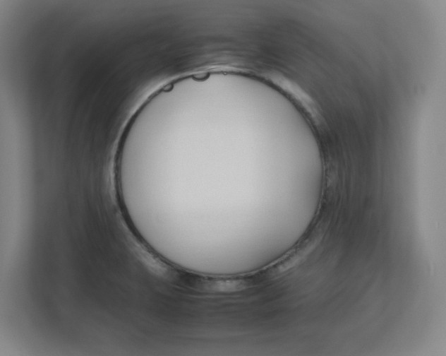 X0000111951423200908171308