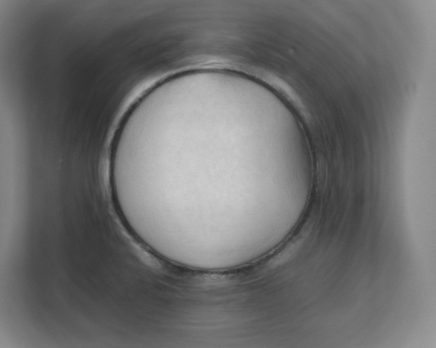 X0000111951424200908171308