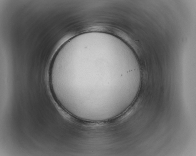 X0000111951426200908171308