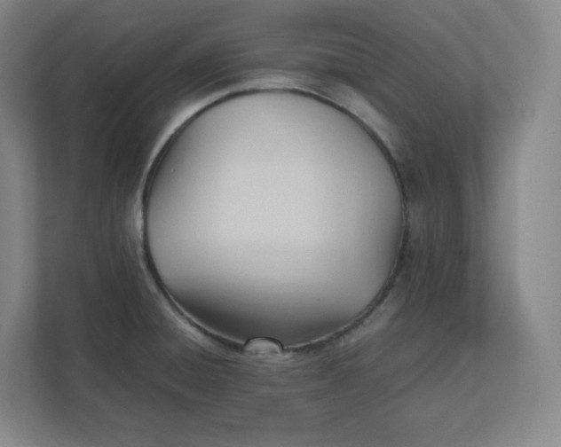 X0000111951428200908171308