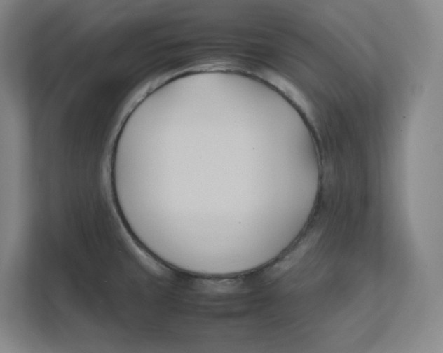 X0000111951429200908171308