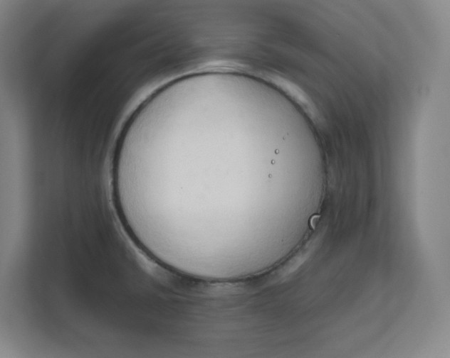 X0000111951430200908171309