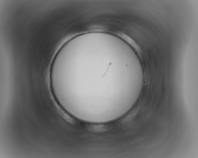 X0000111951431200908171309