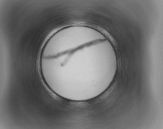 X0000111951432200908171309