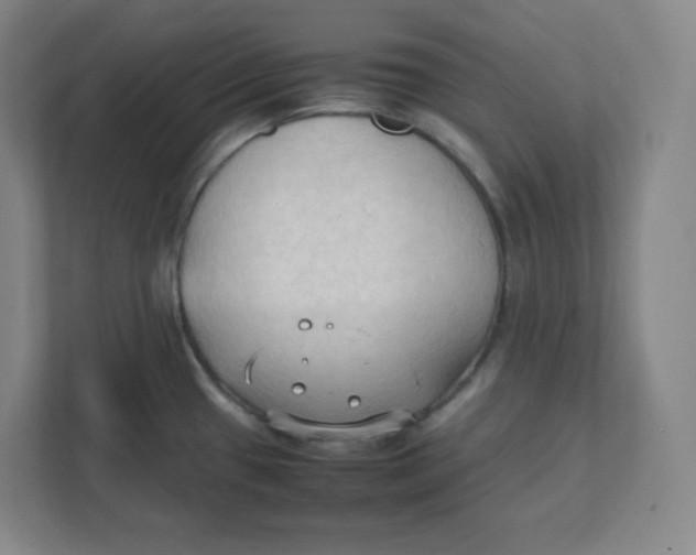 X0000111951433200908171309