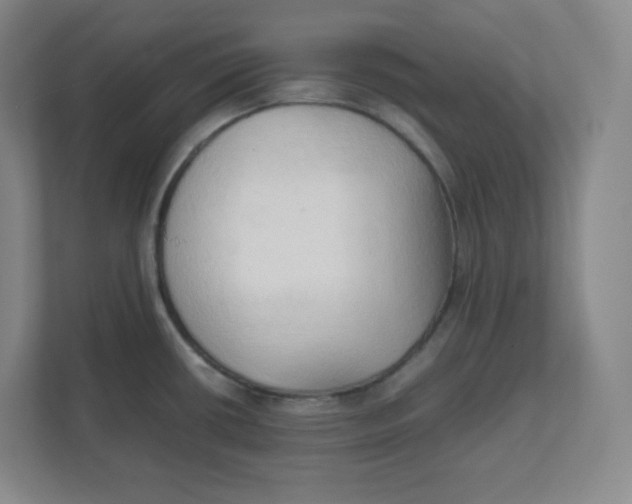 X0000111951434200908171309