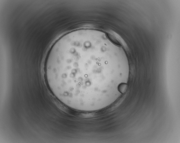 X0000111951435200908171309